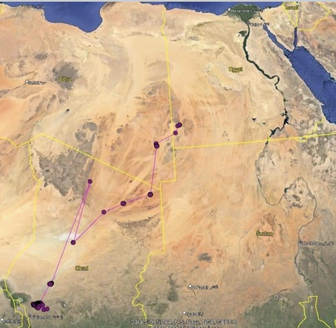 , FOTO: Ky shpend i rrallë është duke ardhur drejt Shqipërisë, ja pse