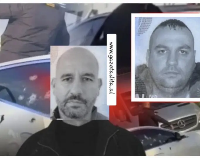 Rinas  porta e pasigurisë